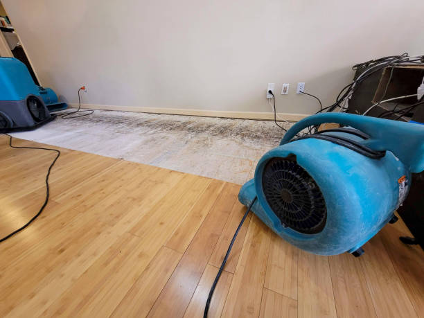 Professional Flood Damage Cleanup technician working in Scott Depot, WV